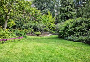 Optimiser l'expérience du jardin à Oinville-sous-Auneau